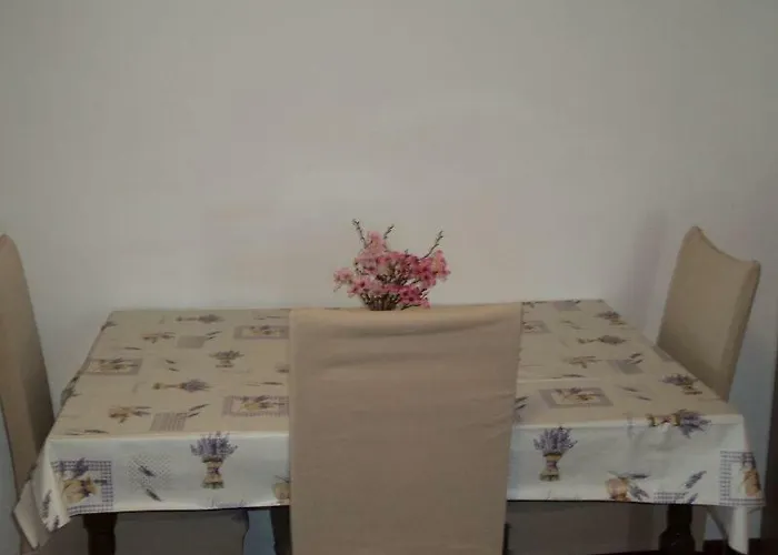 Studio Apartments Ana